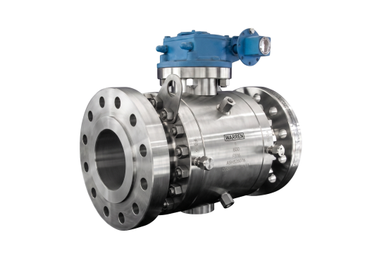Stainless Trunion.png