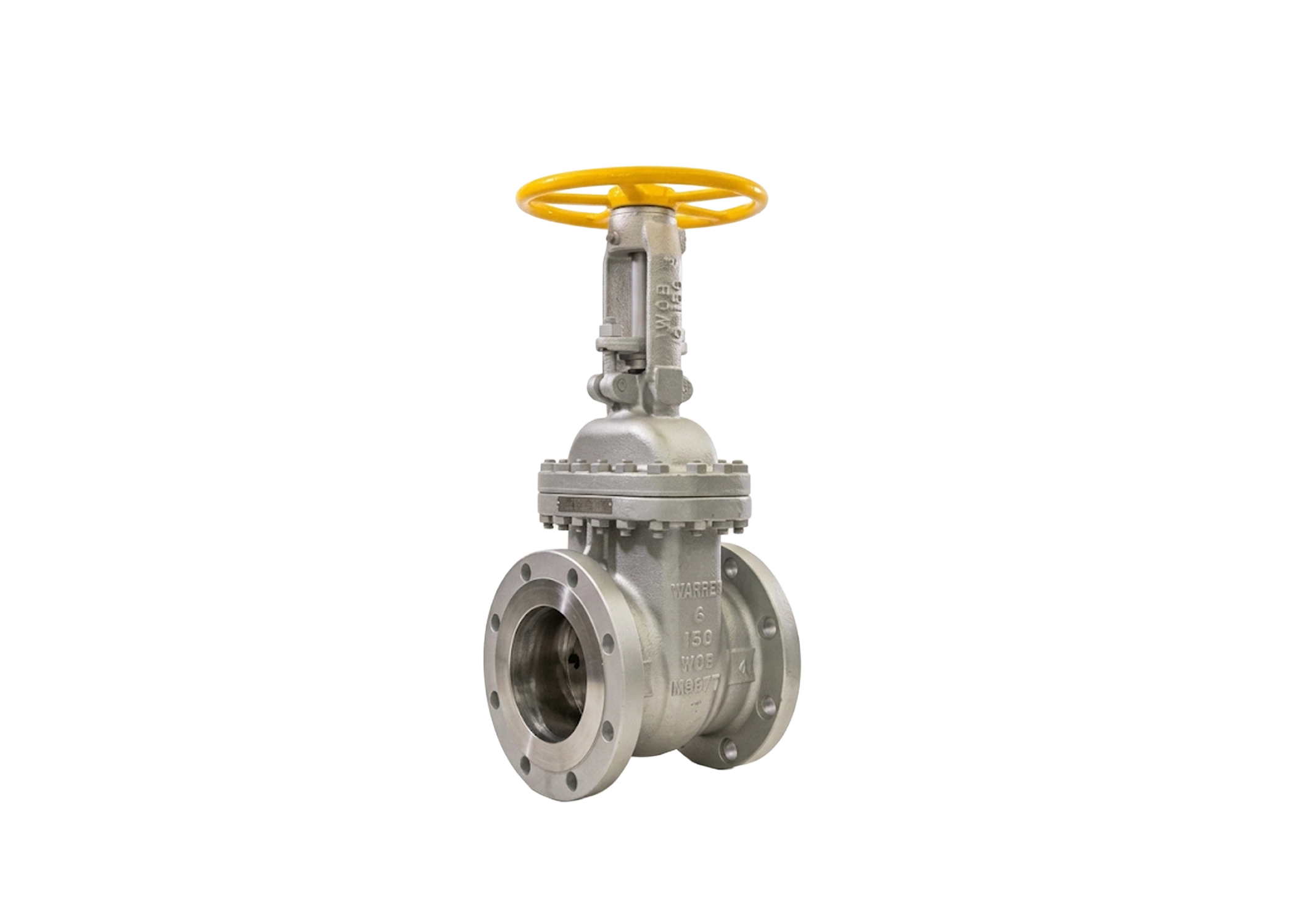 Cast Carbon Gate Valve